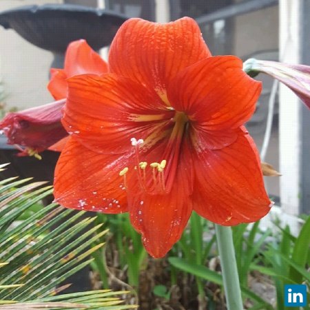 Lori Couey, Maintenance.Manager/Contracts at Fl. Department of Transportation