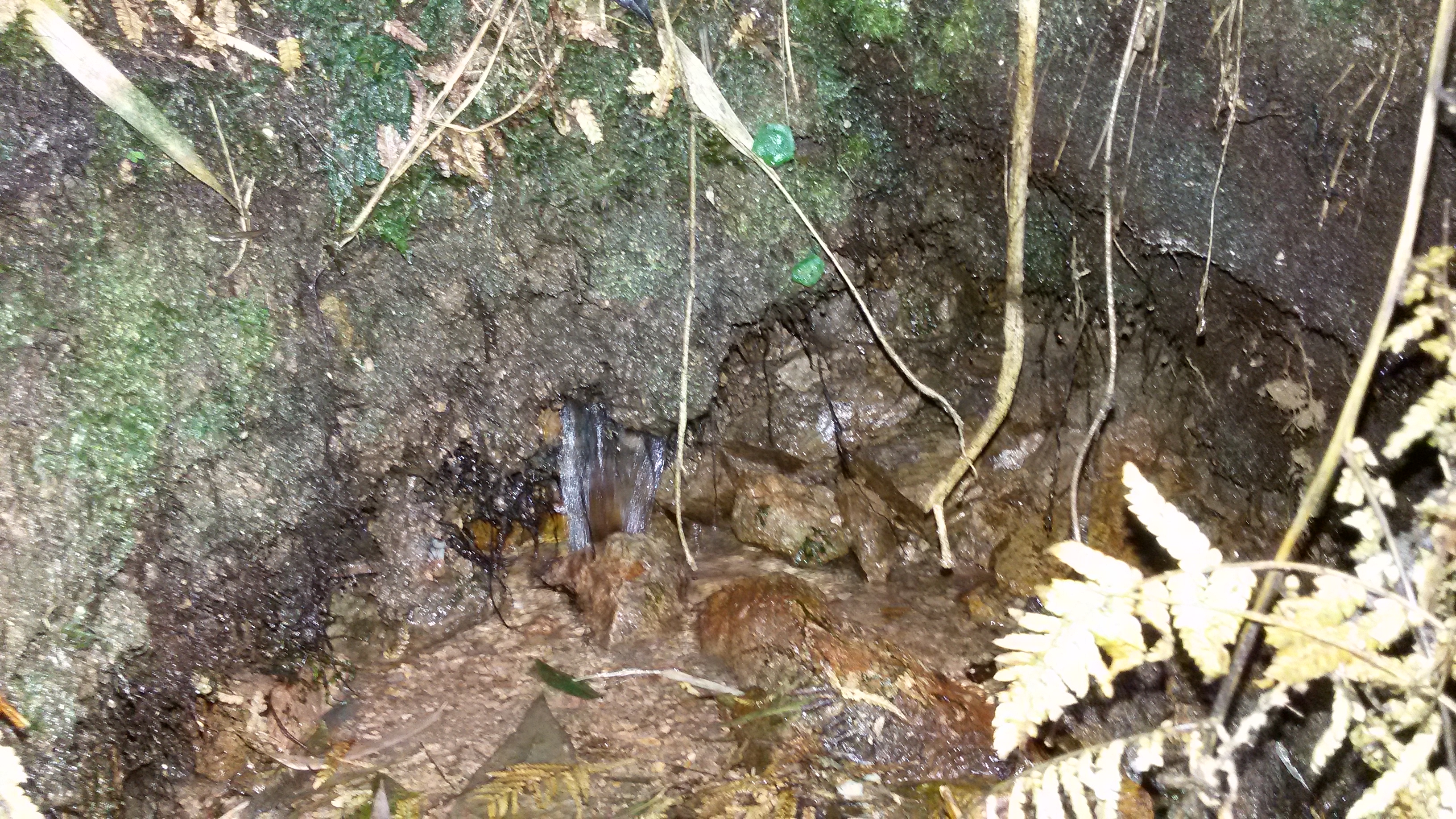 Rio Vermelho