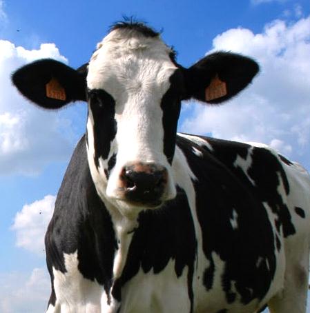 Livestock Water Recycling,  Inc., Lisa Fast - Marketing Coordinator