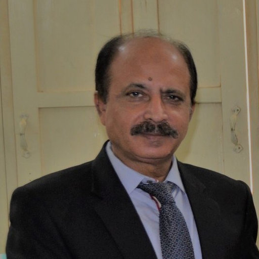 Wazir Ali Baloch, Professor at University of Sindh