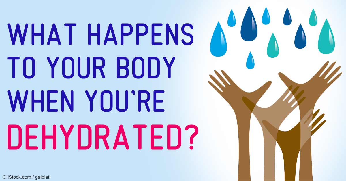 Importance of Water Health: What Happens to Your Body When You’re Dehydrated