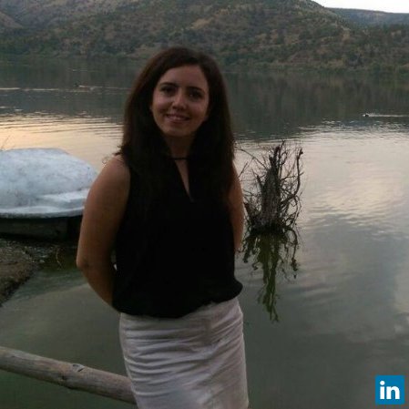 Ayşegül Kuzucu, İnşaat Mühendisi