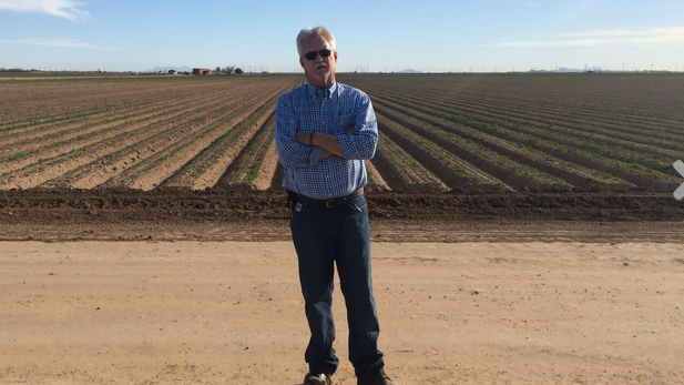 Farming and Water Use Efficiency in a Desert