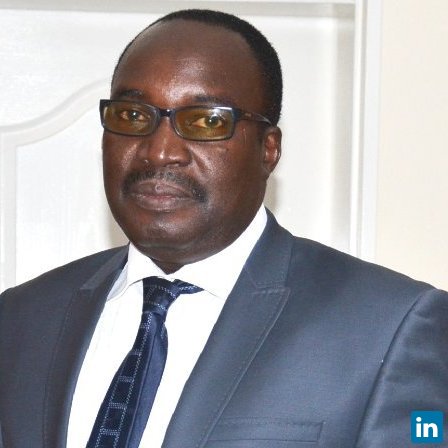 Elisha Shemang, Professor of Geoscience at Botswana International University of Science and Technology