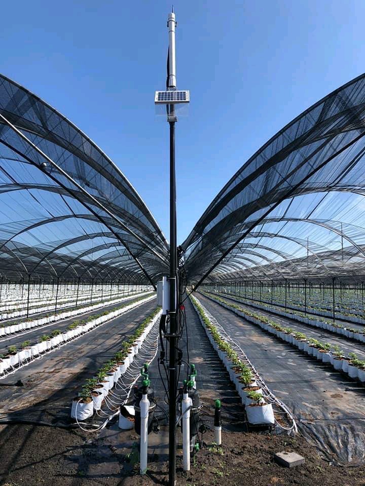 Water in irrigation infrastructure