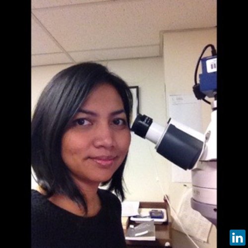 Nina Desianti, PhD candidate and Research assistant