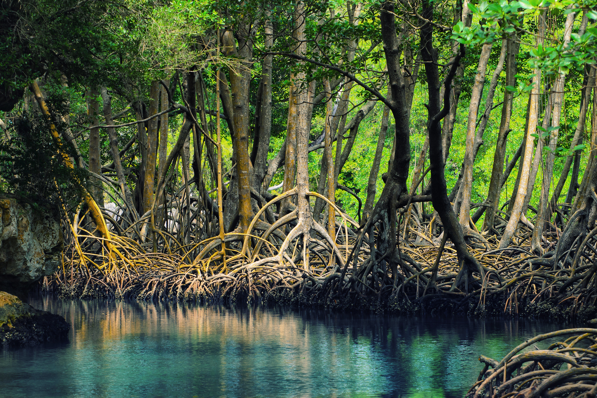 Scrubbing Water Clean—Nano Technology-Based Solutions