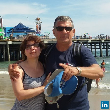 Bojan Srdjevic, Professor Emeritus at University of Novi Sad