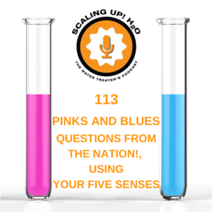 Pinks and Blues: Questions From the Nation!, Using Your Five Senses - Scaling UP! H2O