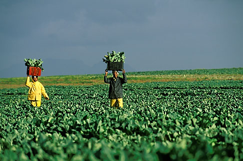 Satellites Help African Farmers Face Historic Drought