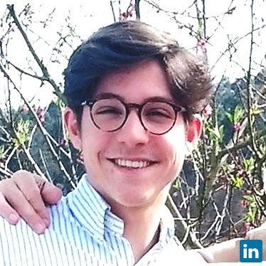 Pablo Domínguez Chans, Student at INP Grenoble ENSE3.