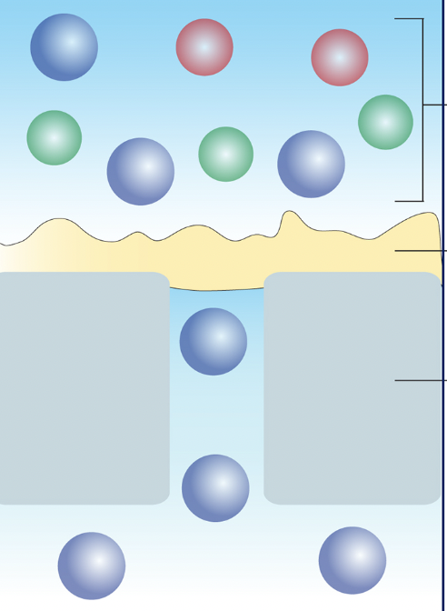 Investing in Electrifying Membrane Innovation – Redefining Separation with Active Technology
