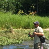 Dan Nedvidek, Environmental Project Manager