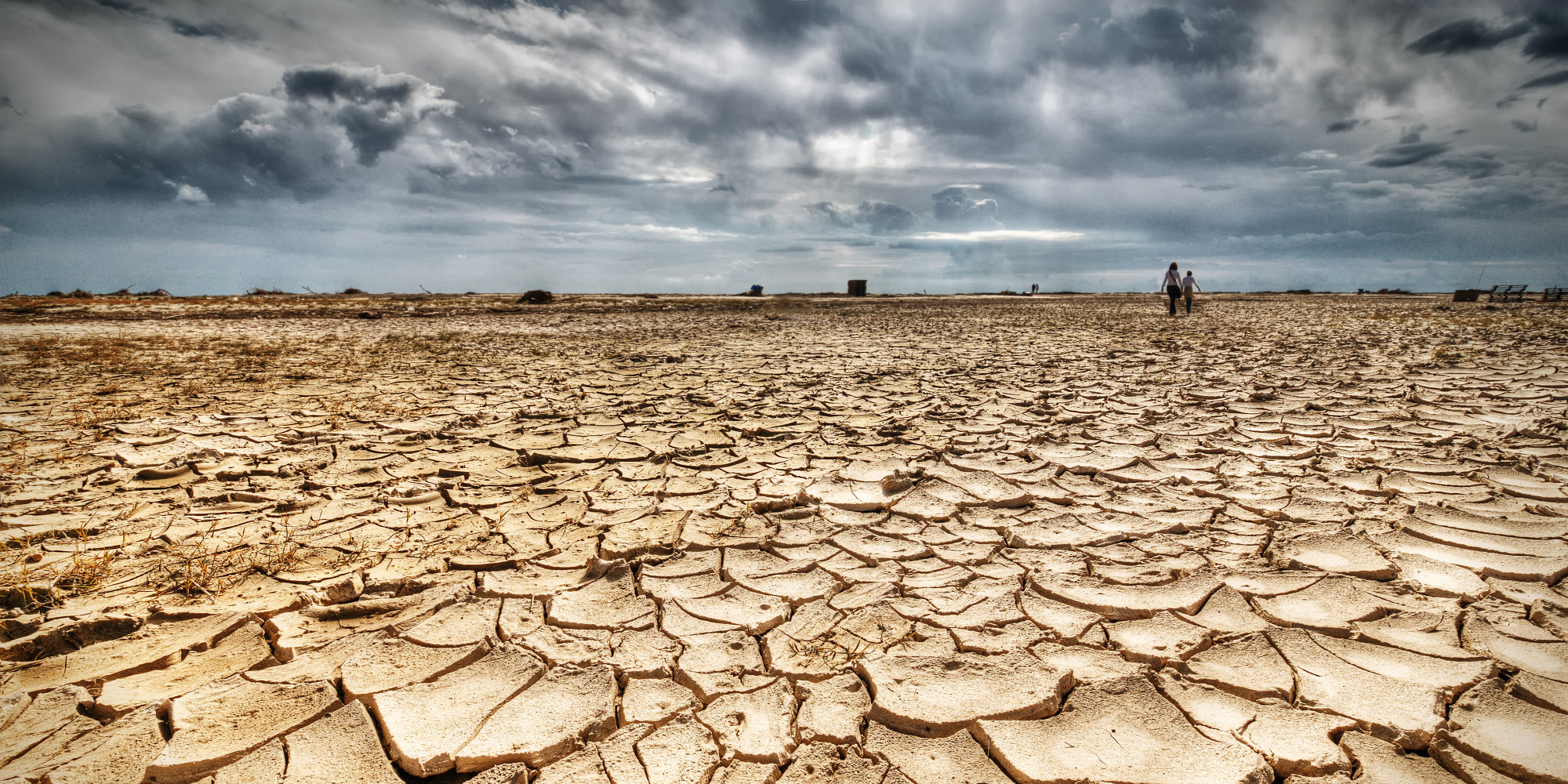 The Dry Facts