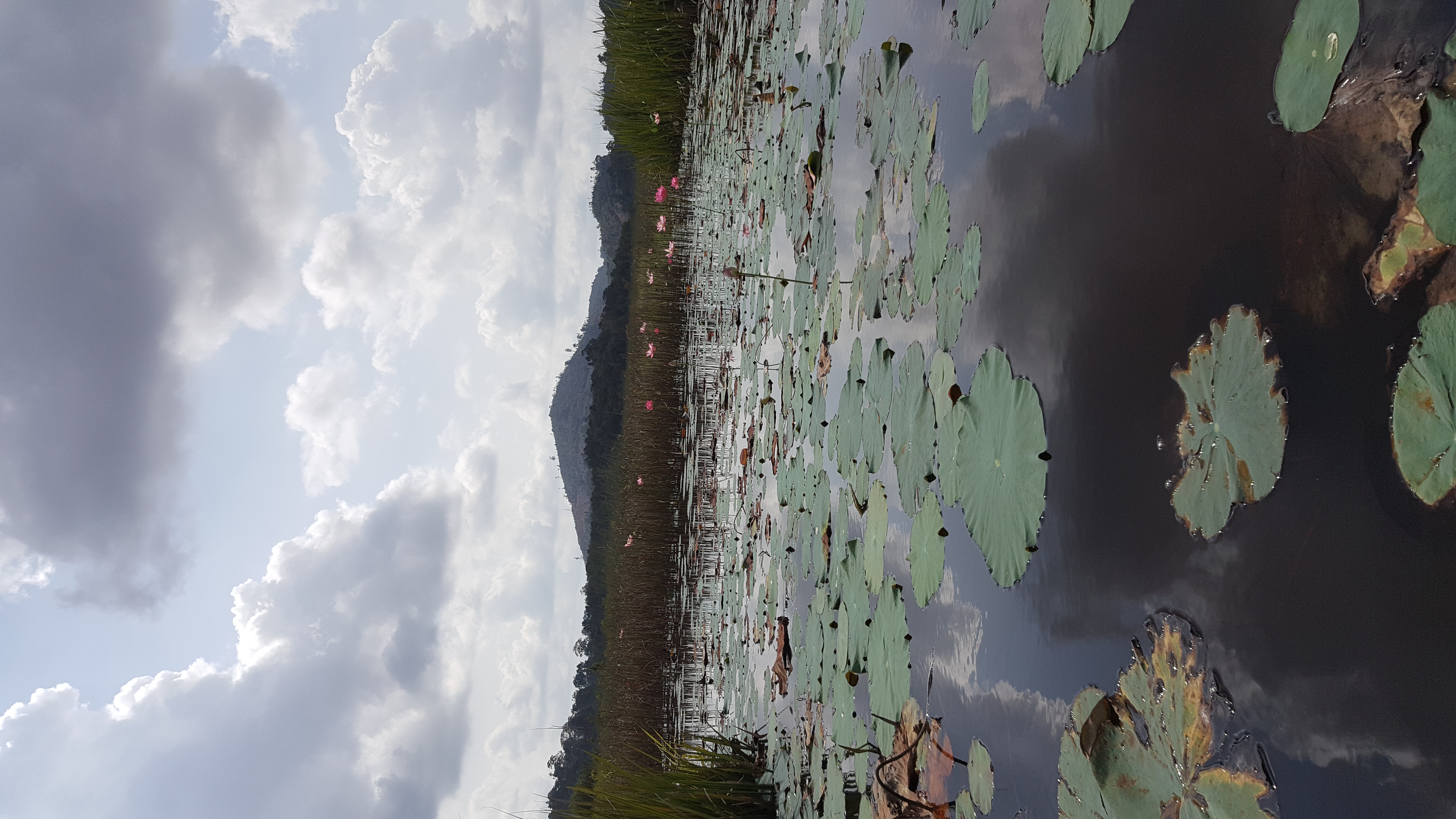 Lake Chini