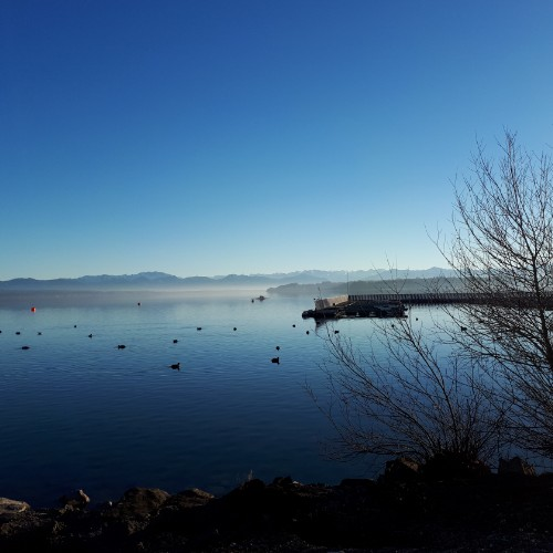 Hannah Simcoe-Read, Employee at NVH Global Limited