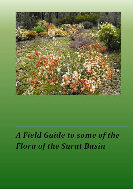 Various Plant Field guides.