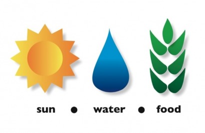 Managing Water is Key to Adapting African Agriculture to Climate Change