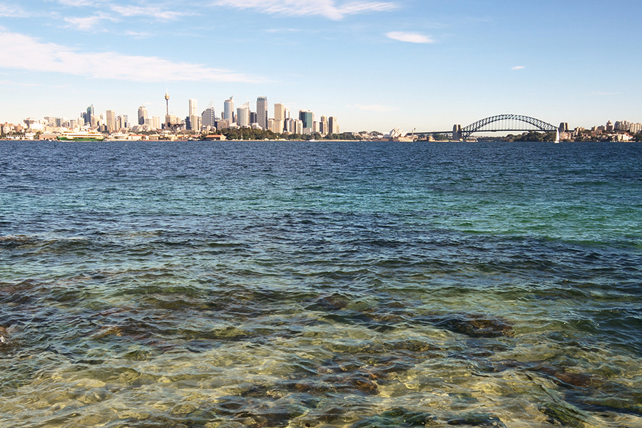 Pathogens in Sydney Harbour like it hot but not too salty