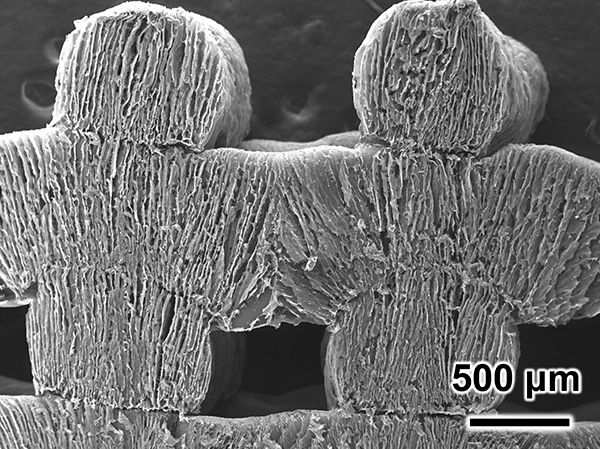 This spongy material and the sun’s power remove salt from seawater