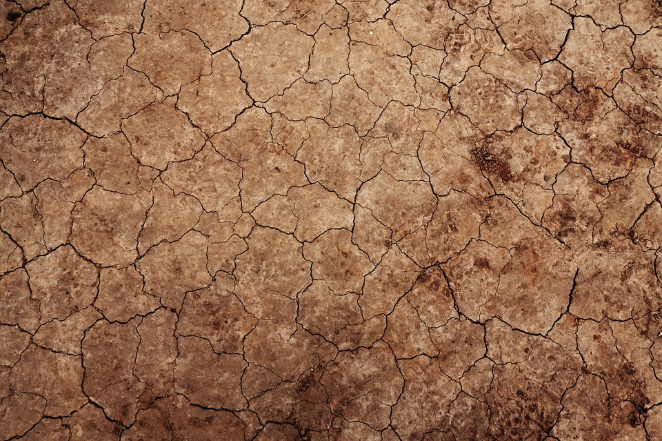 Drought in Thar; what is going wrong, and the human sufferings as a result