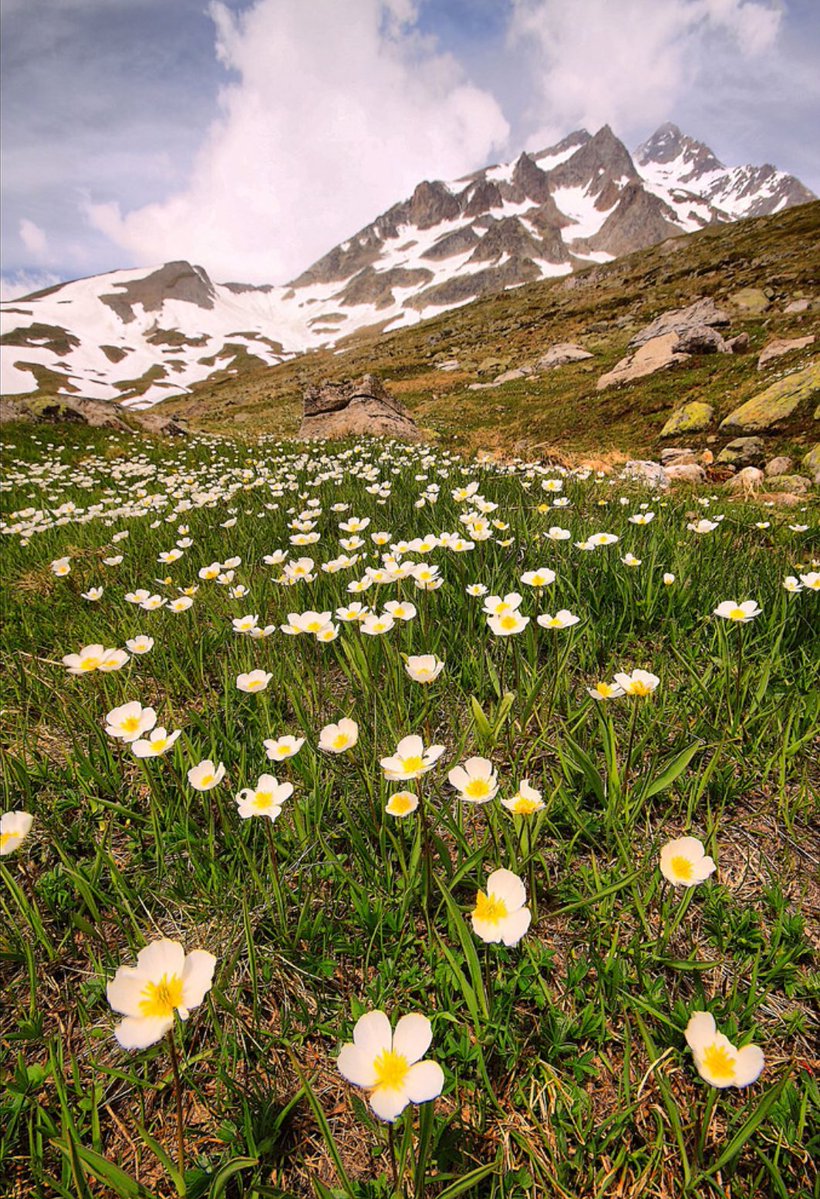 ECO LIFE / MOTHER NATURE