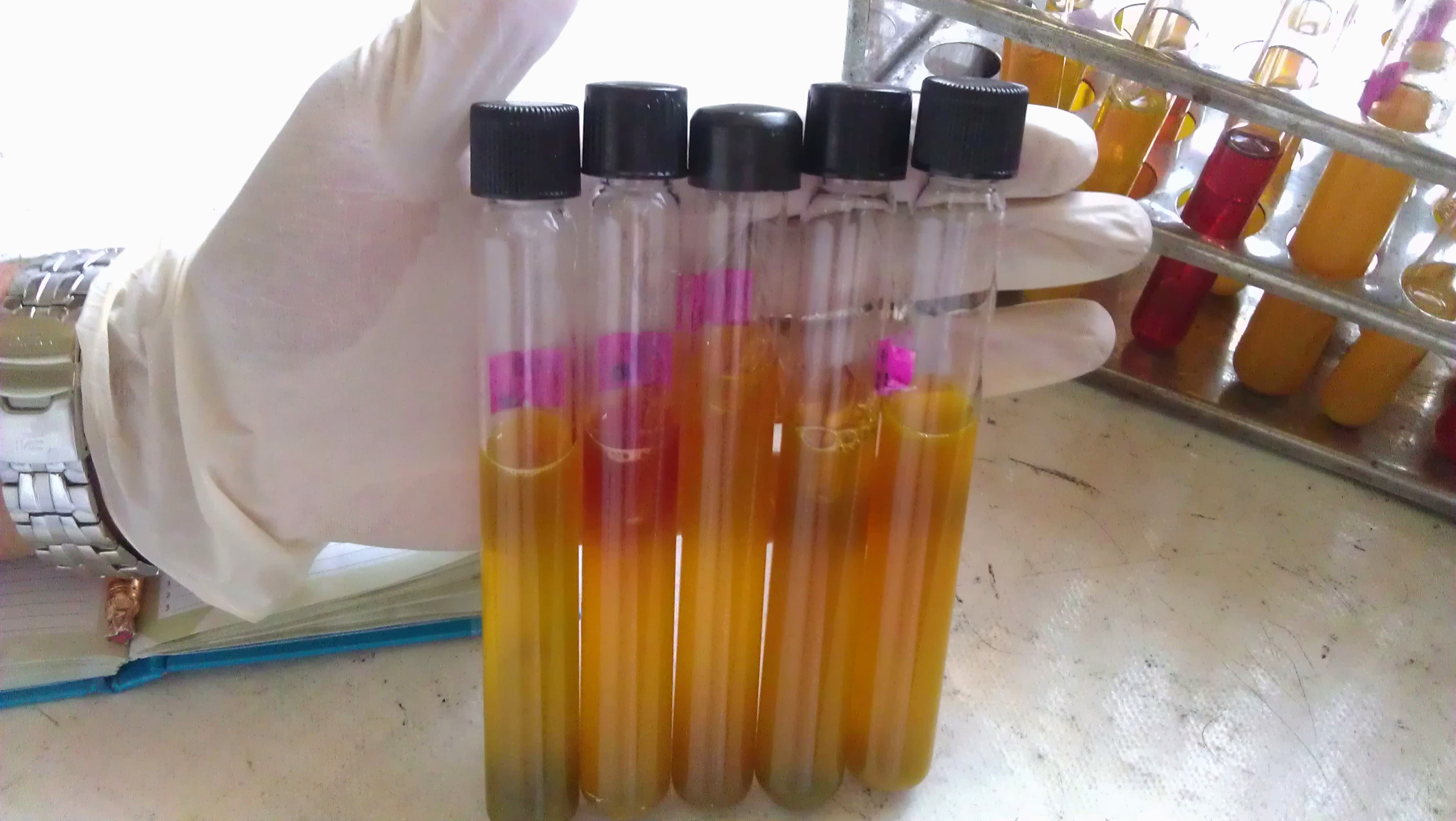 Water Pollution sources
