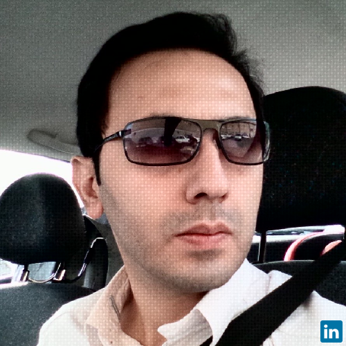 Ali Haghighi, Associate Professor at Shahid Chamran University