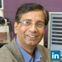 Hashsham Syed, Professor at Michigan State University