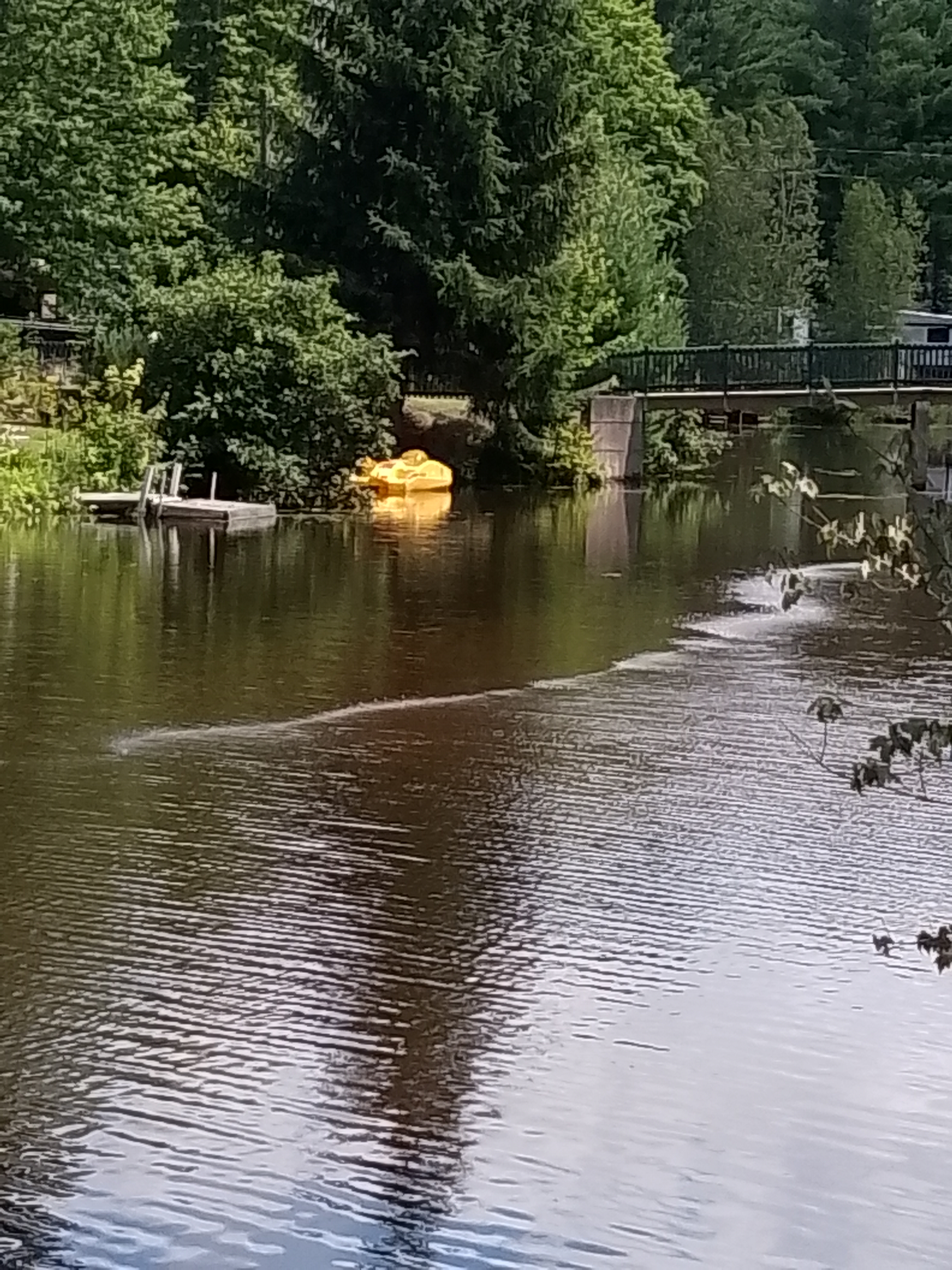 Water & Aquatic System - Coaching, Resource Development & Habitat Management