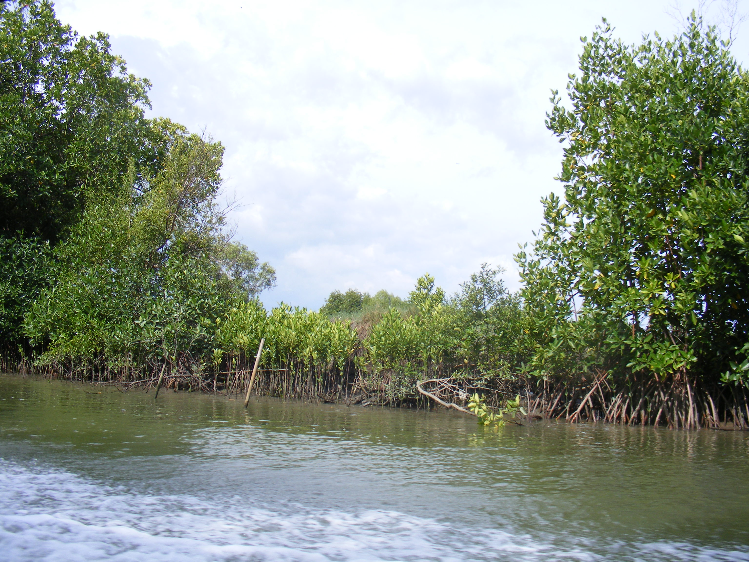 pavinee patanachan, kmutt - marine fishery in coastal area