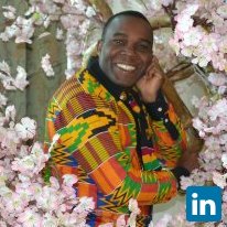 Sena ALOUKA, Directeur Exécutif chez ONG Jeunes Volontaires pour l'Environnement