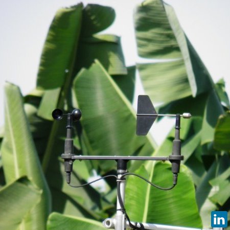 Jose Antonio Guzman Alvarez, Profesional de Investigaciones at CORBANA