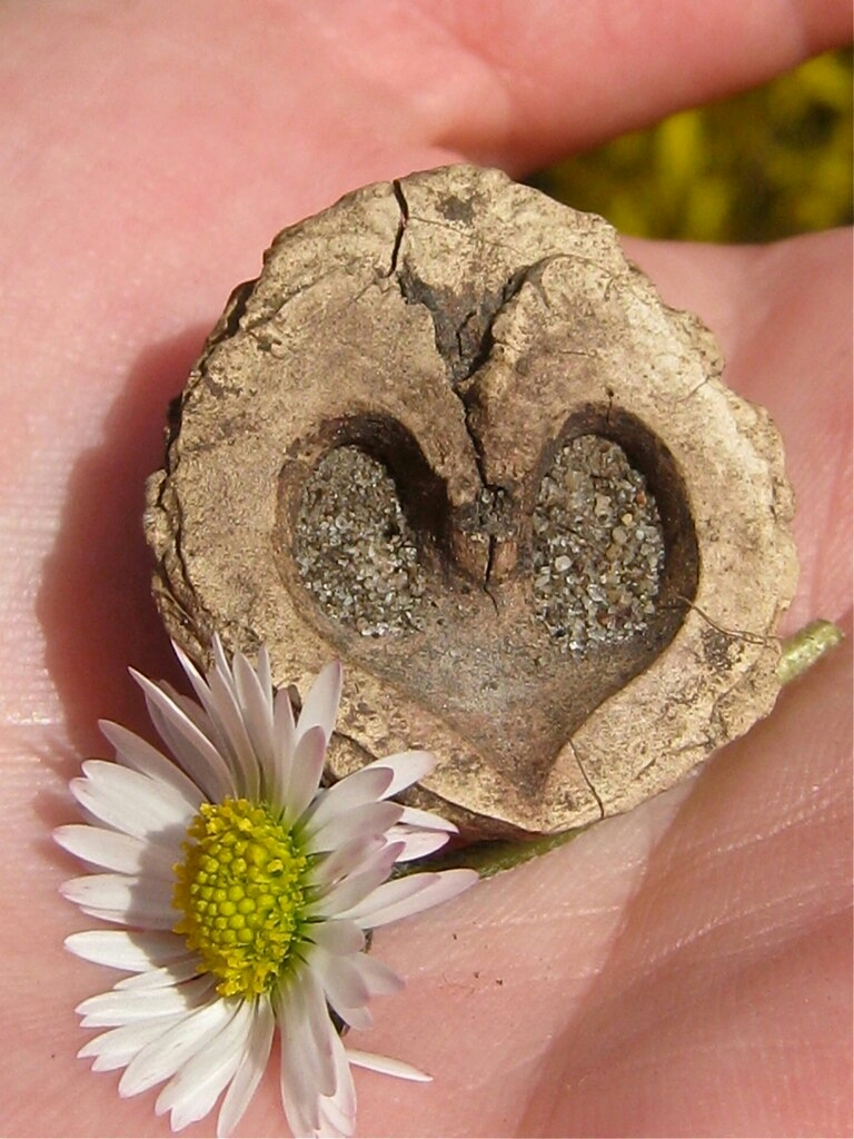 red schonewille, redsan geohydrology - senior geohydrologist