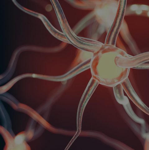 Using AI in Hydrology