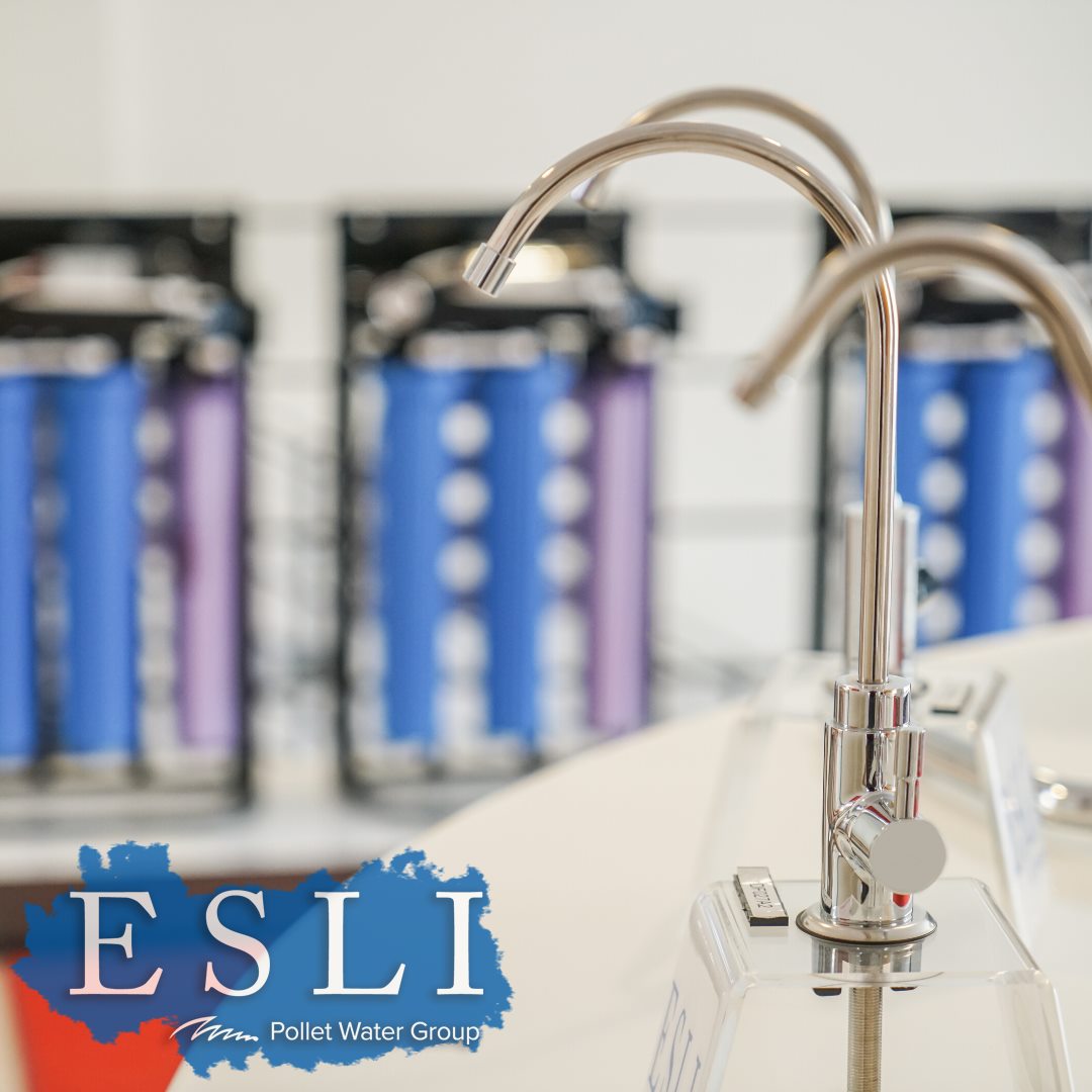 Esli Pollet Water Group