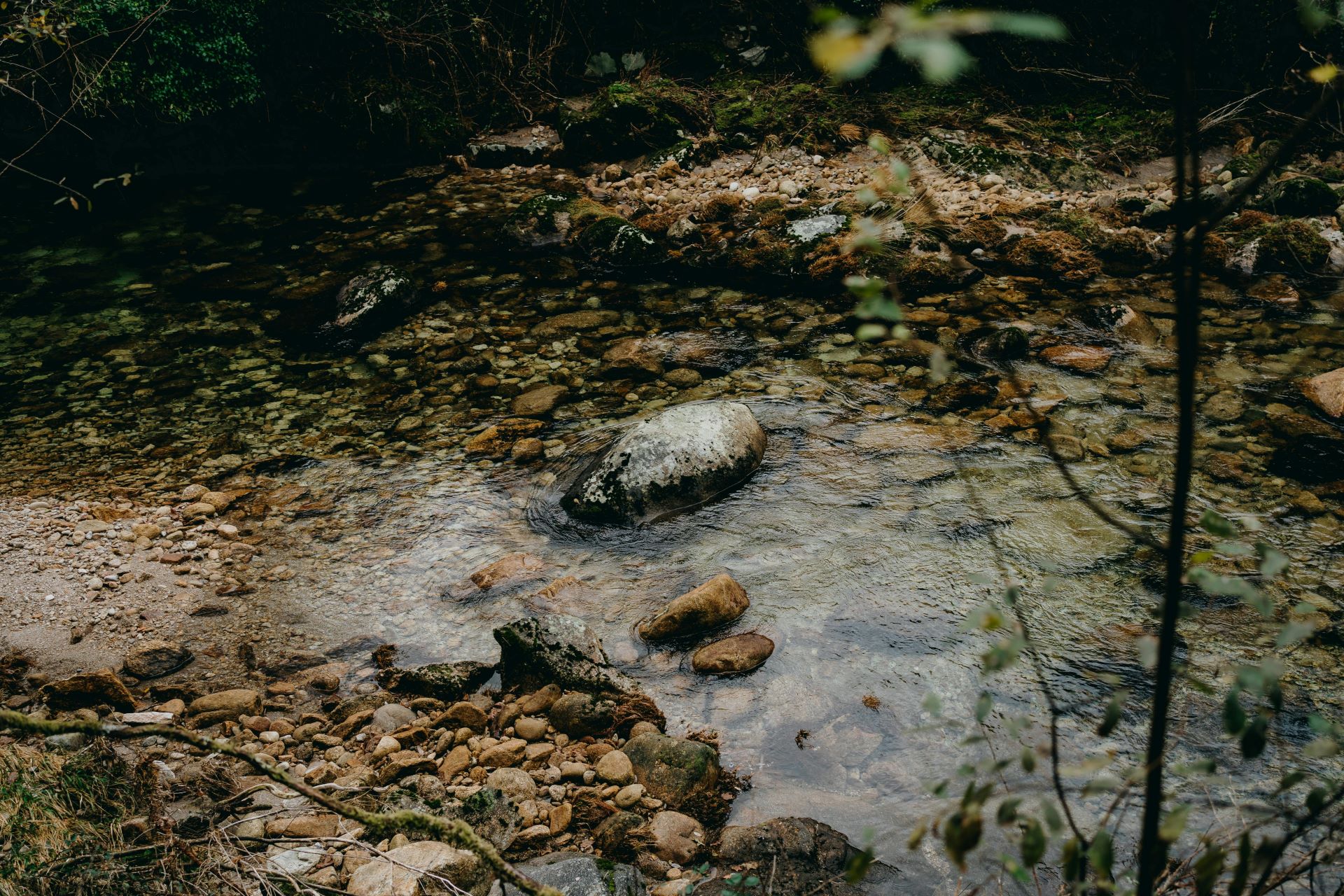 Plastic pollution in water systems is a problem we are going to solve