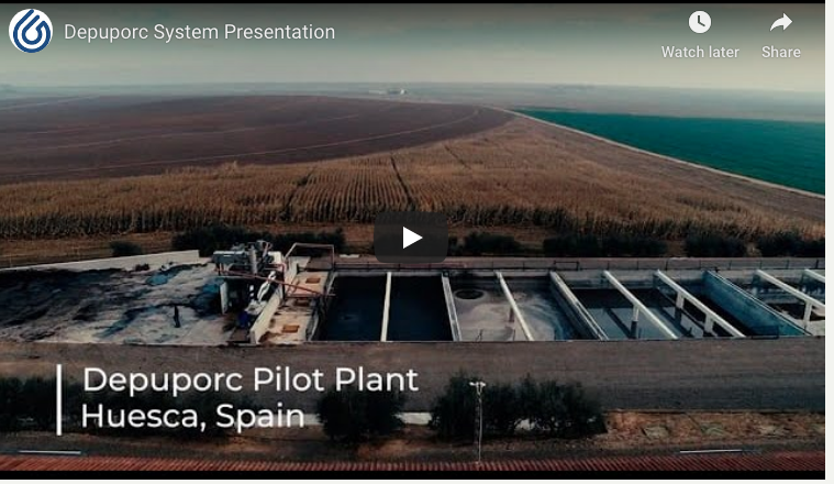 Depuporc System ​performance in ​removing particles of ​solid manure ​before reducing ​ammonia
