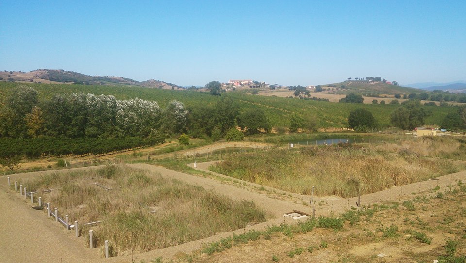 Cecchi Winery "VAL DELLE ROSE", Grosseto