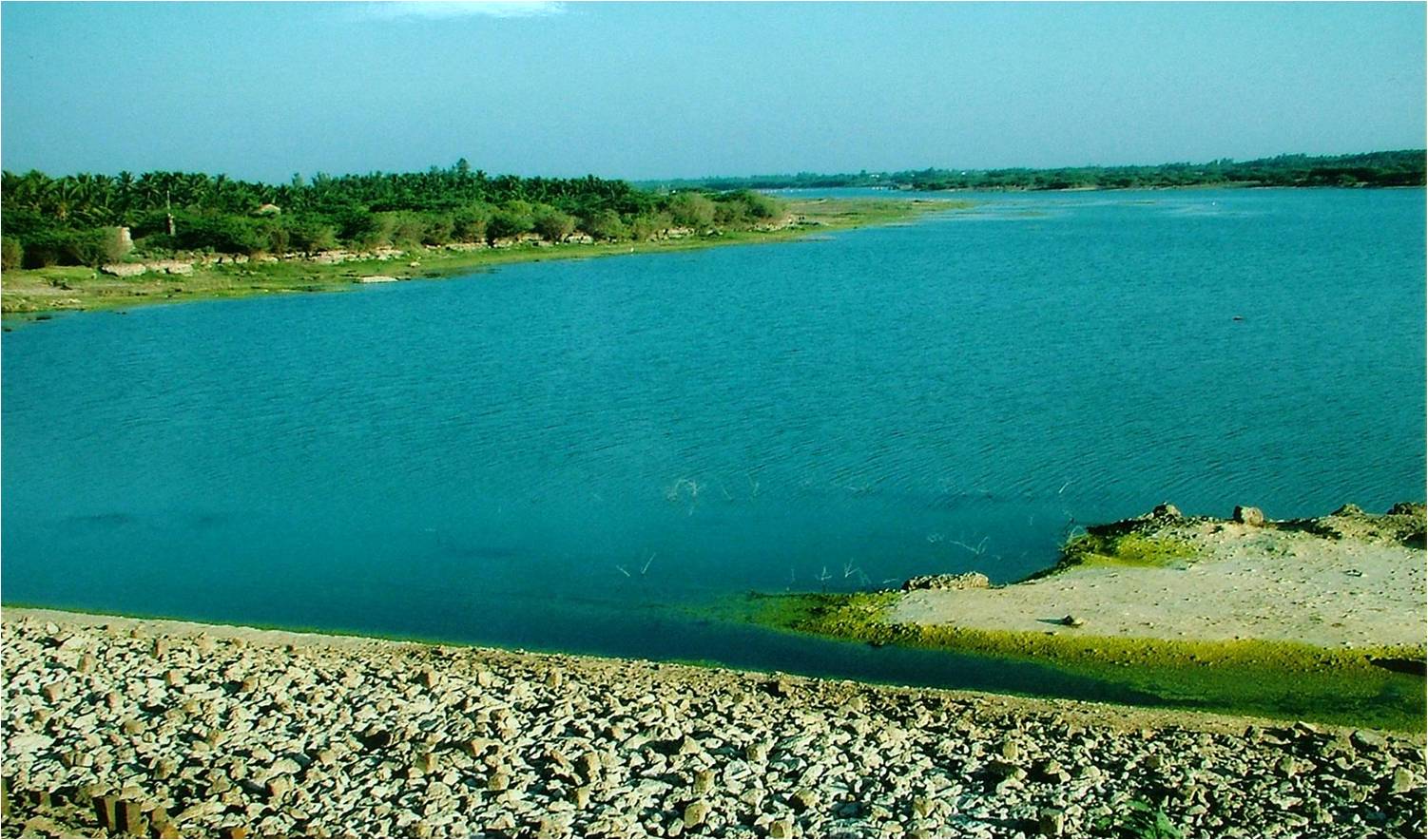 Shailesh Desai, Government