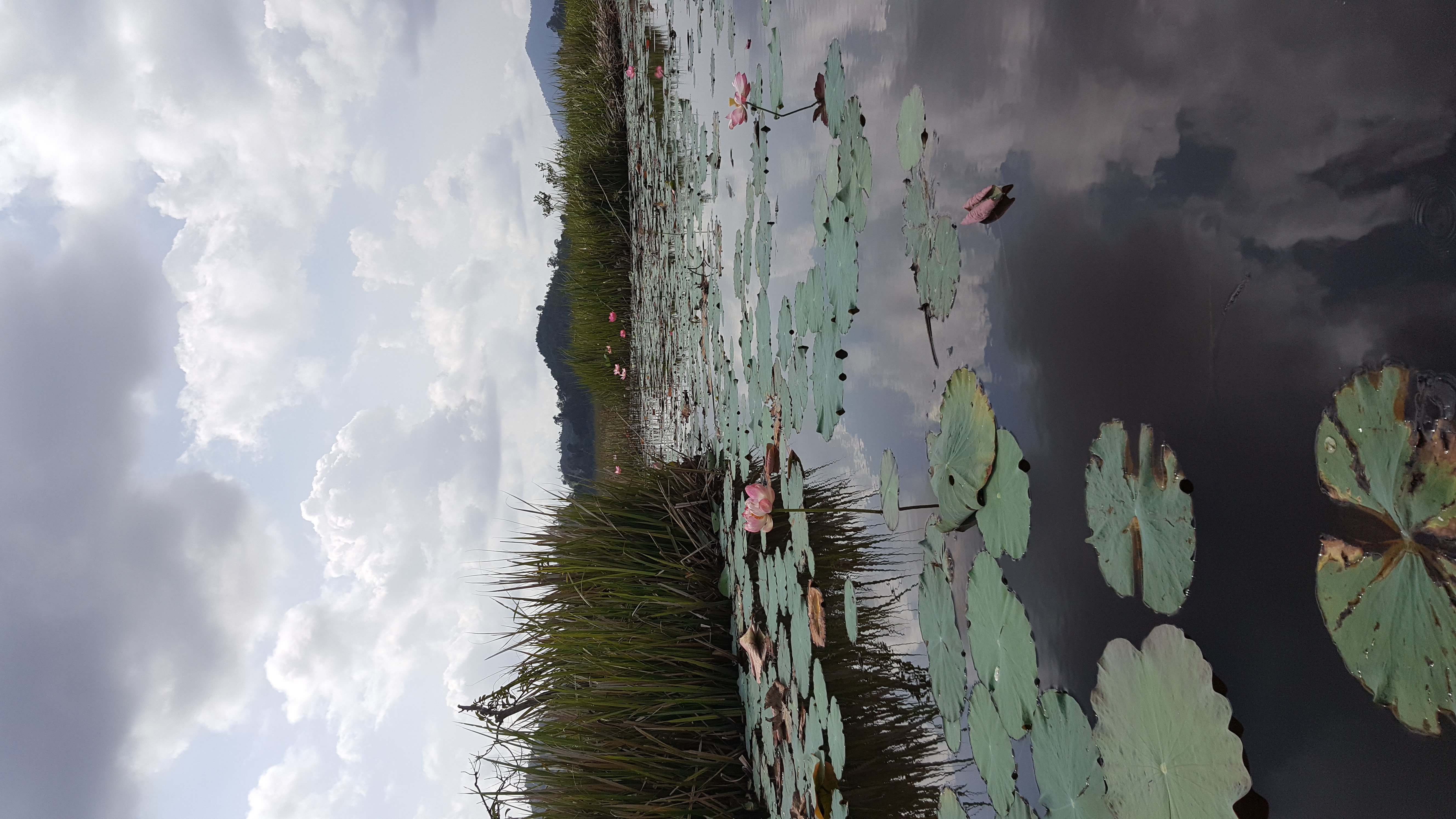 Lake Chini