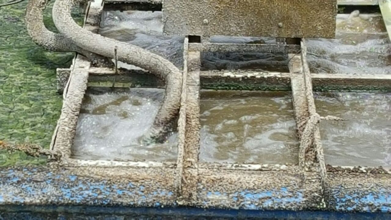 WWTP - CADECA - CHICKEN PROCESSING FACTORY