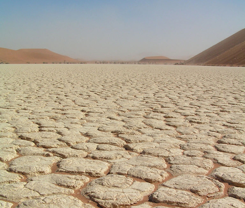 Desertification - a Top Concern for South Africa