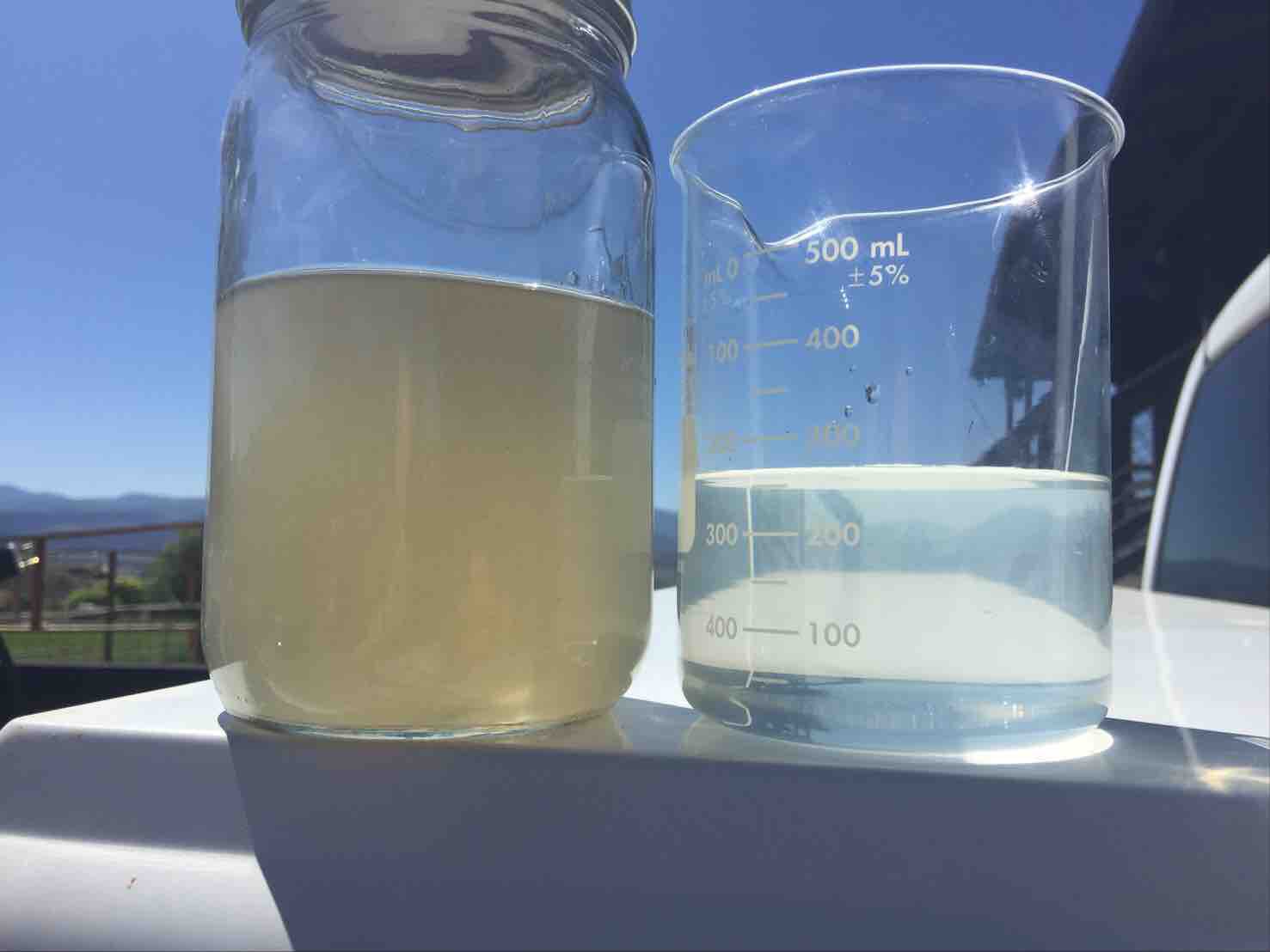 Example pictures