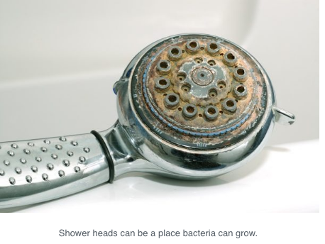 Bacteria / Legionares in the shower head and shower hose? - Sparcio