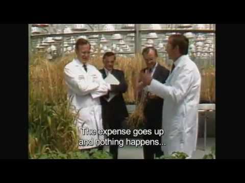 If you care, please watch this "The World According to Monsanto" e (FULL LENGTH) Roundup Ready®