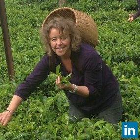 Lot Folgering, Corporate Communications Consultant at Deltares