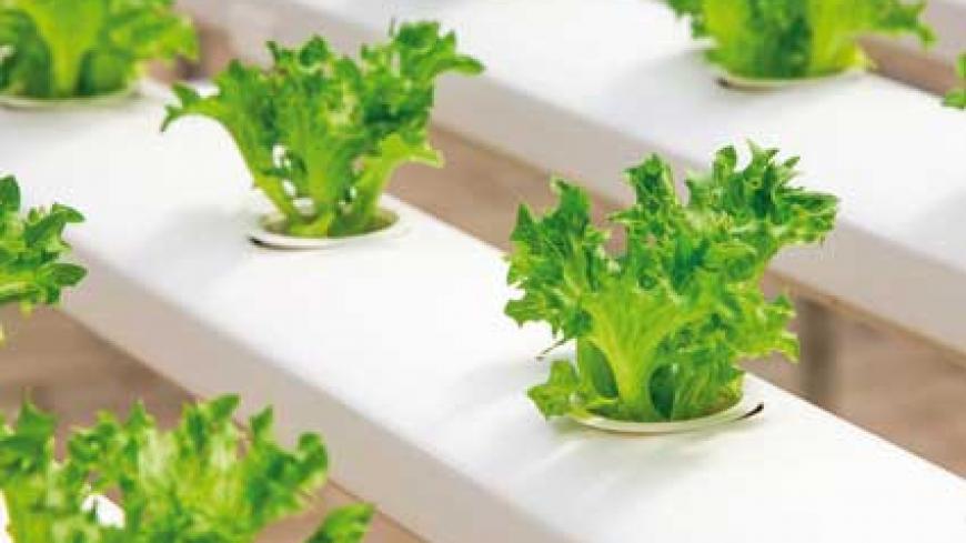 Water-Smart Agriculture: the Efficiency Drive the World Needs