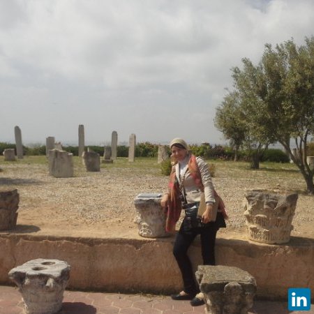 Heba Hariry, Regional Project Coordinator/ Hydrogeologist, at Arab Water Council (AWC)