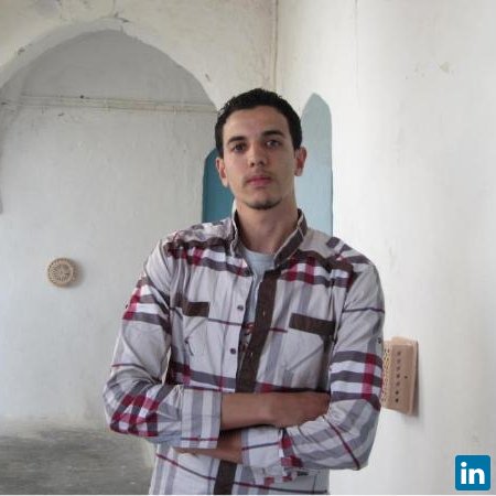 Youssef Frikha, Hydraulic and environment engineer